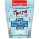 Gluten Free 1 to 1 Baking Flour, 623g