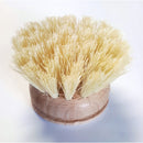 Dish Brush Replacement Head, 2"