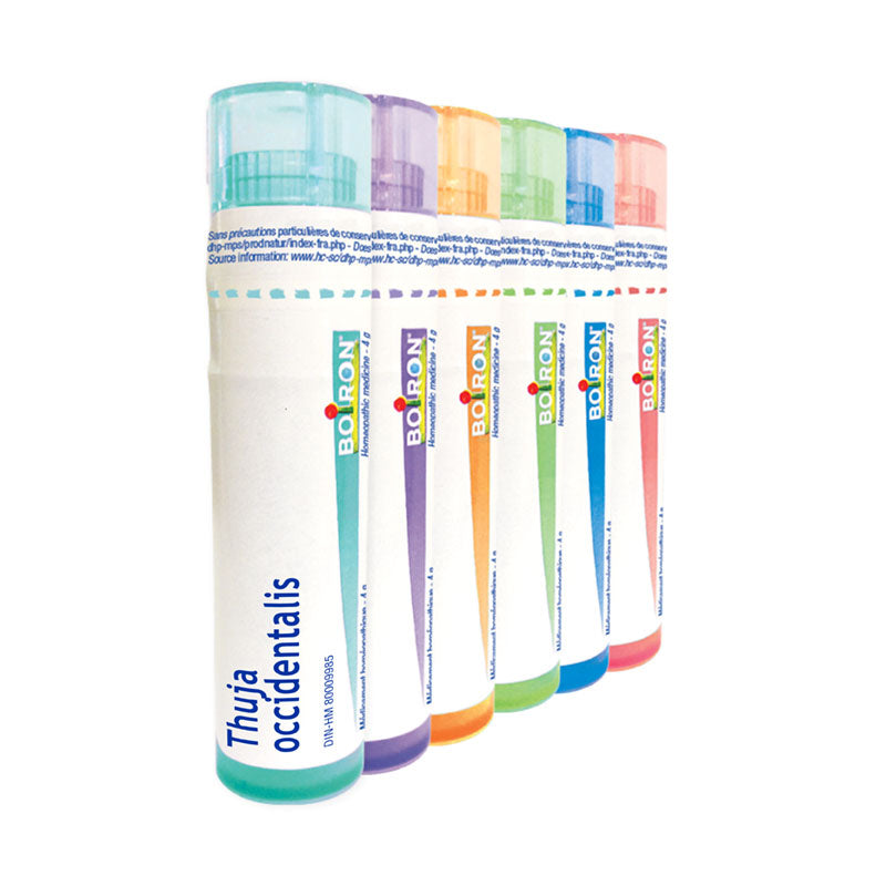 Thuja Occidentalis 6CH