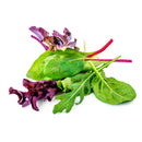 Organic Spring Mix, 5oz Container