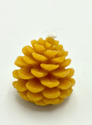 Pinecone Beeswax Candle