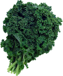 Organic Green Kale, 1 Bunch