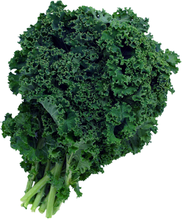 Organic Green Kale, 1 Bunch