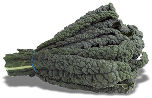 Organic Black Kale, 1 Bunch