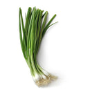 Organic Green Onions, 1 Bunch