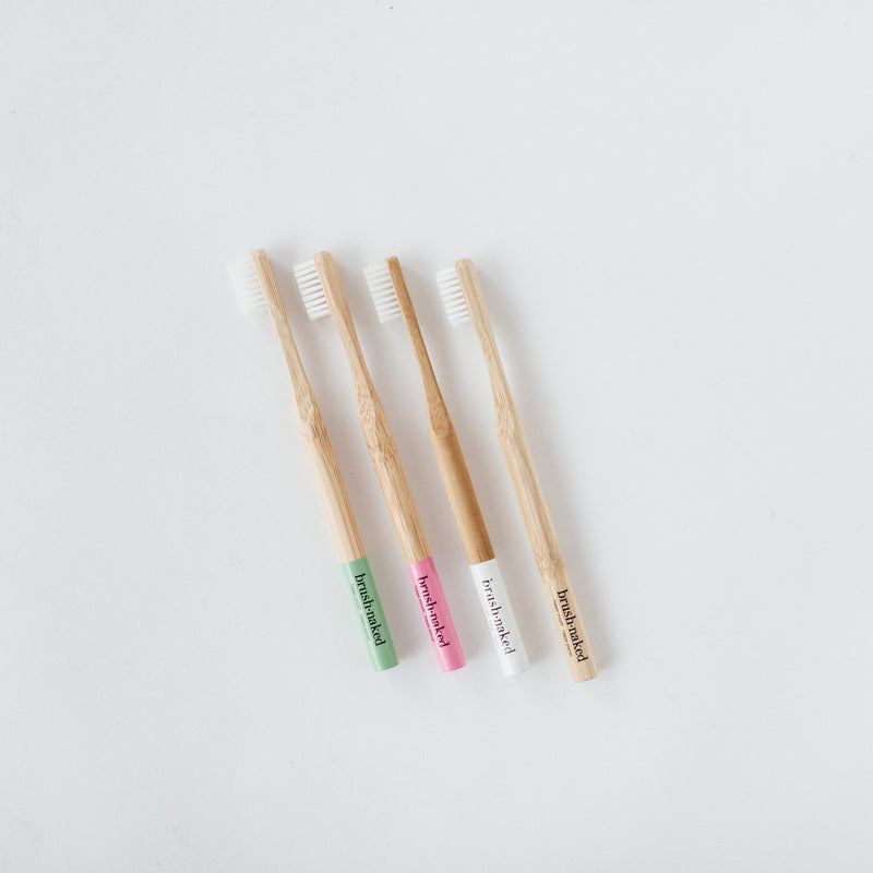 Adult Soft Nylon Bristle Toothbrush- 4 Pack