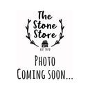 Chai Latte with Reishi & Turkey Tail, 1 Packet