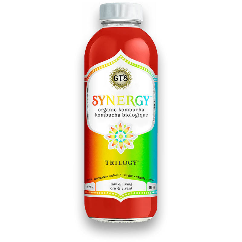 Trilogy Kombucha, 480mL