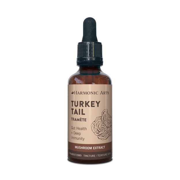 Mushroom Tincture, Turkey Tail, 50ml