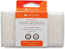 Plain Jane Plastic Free Plant Sponges, 3 Pack
