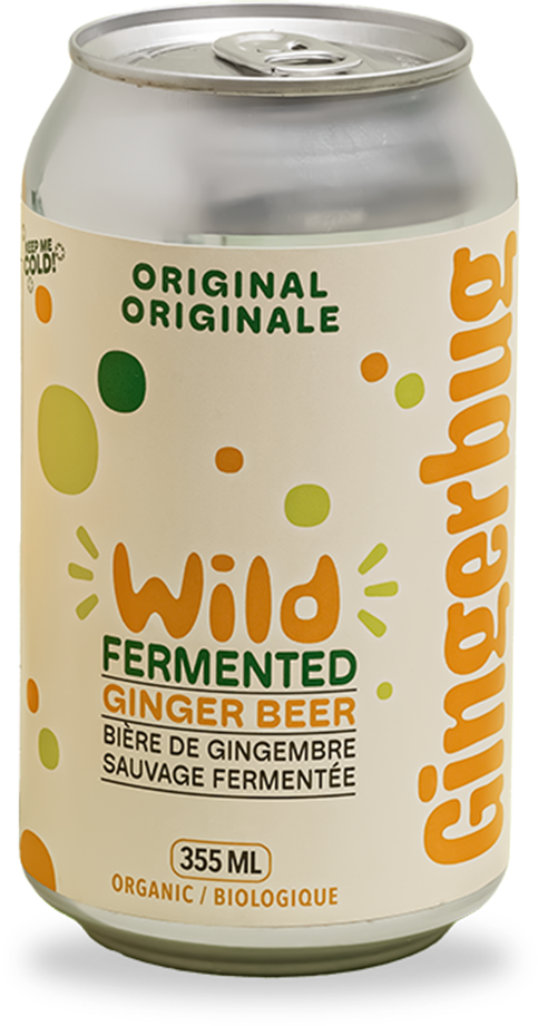 Organic Ginger Beer, 330mL