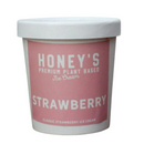 Strawberry Plant Based Ice Cream, 1 Pint