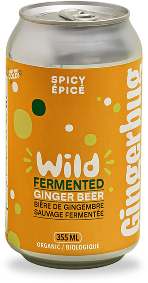 Organic Ginger Beer, Spicy 330mL