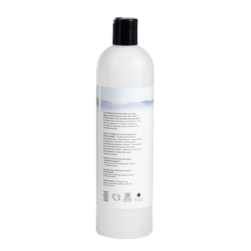 Daily Shampoo, 500mL