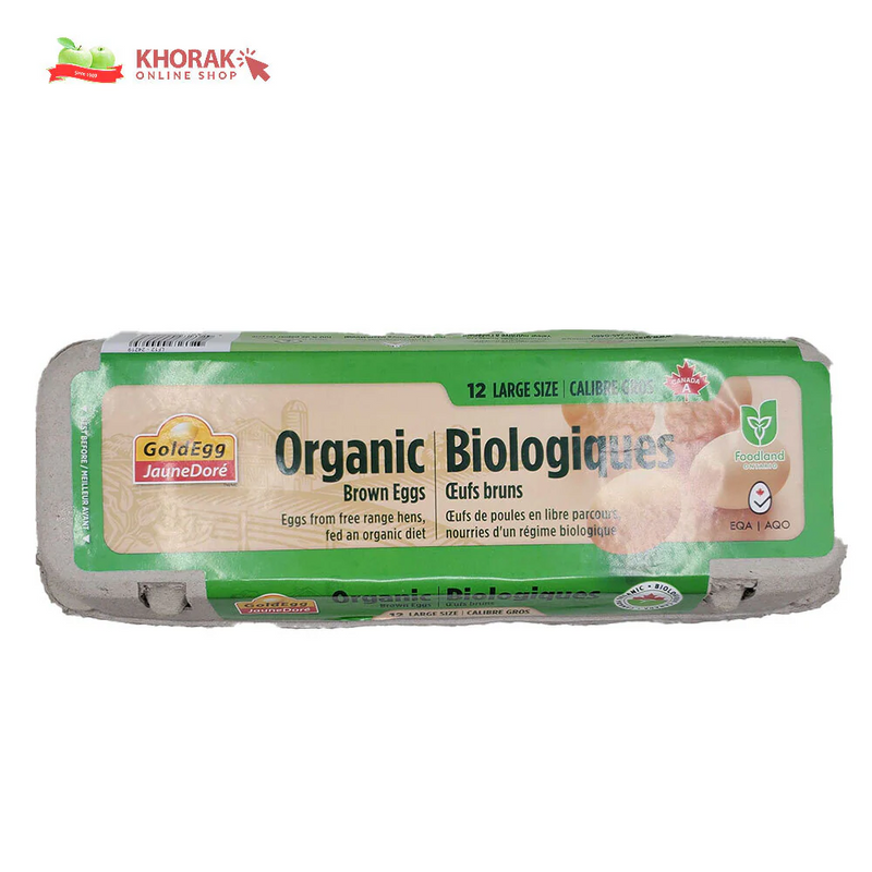Organic Free Range Large Size Eggs