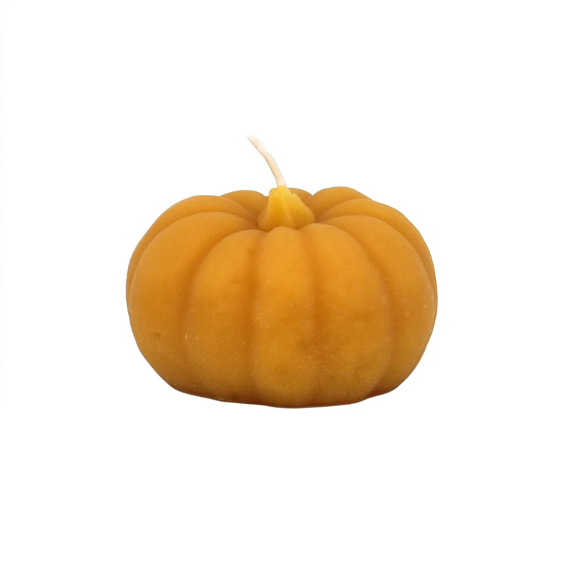 Beeswax Pumpkin Candle