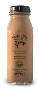 Organic Chocolate Milk, 500mL Bottle