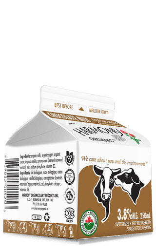 Organic Chocolate Milk, 250mL Carton